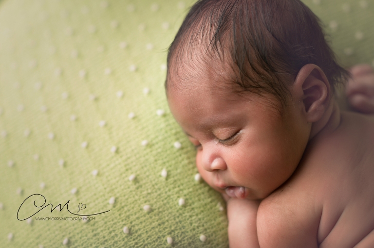New Hampshire Newborn Photographer_Milan-1